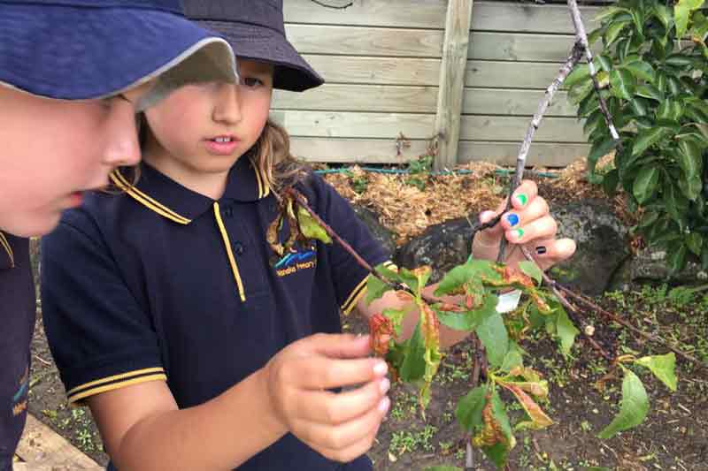 $2 million funding for young New Zealanders to engage with science and mathematics