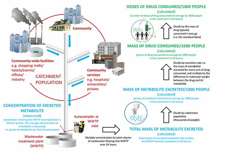 Australian Criminal Intelligence Commission using wastewater data to track illicit drug usage