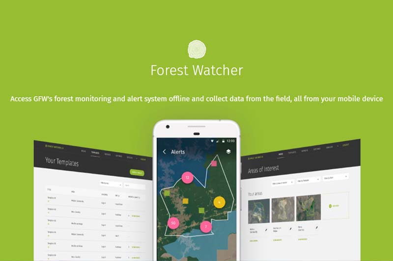 New mobile app from World Resources Institute allows offline access to forest change data from Global Forest Watch