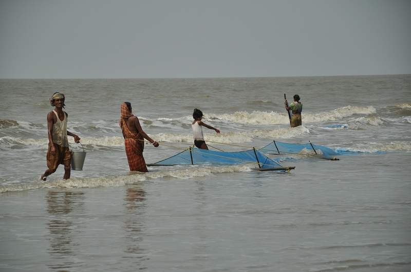 Andhra Pradesh Fisheries Technology and Infrastructure