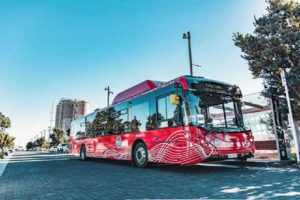 Auckland Electric Bus Fleet